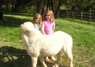 Suncenter Farms